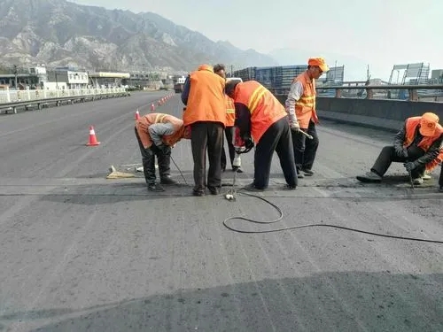 大田镇道路桥梁病害治理